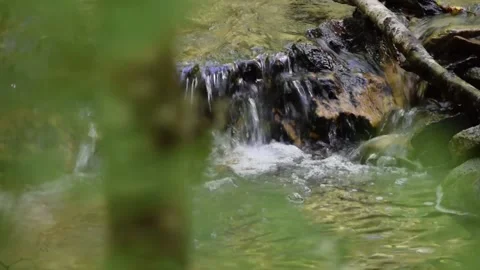 RACK FOCUS FROM TREE LEAVES IN THE FOREGROUND TO A FLOWING STREAM Vidéo 132455150