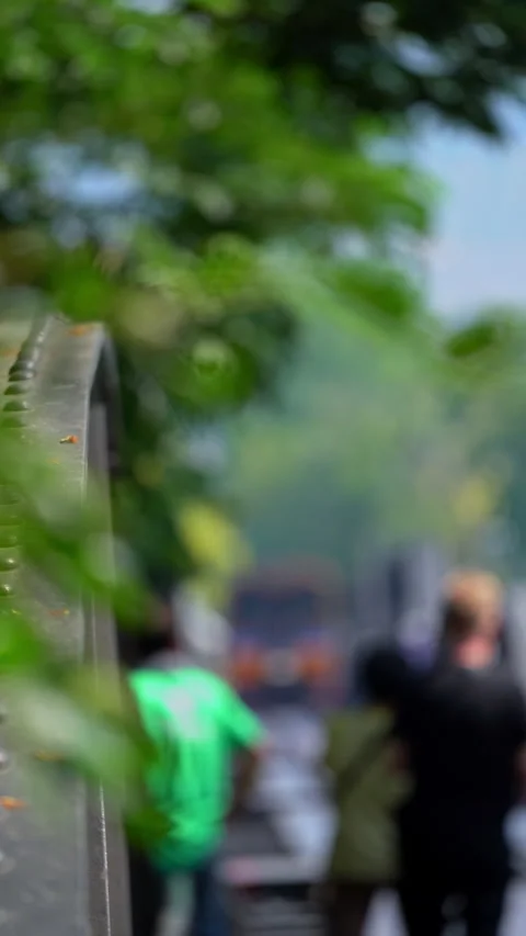 Rack Focus From Tree Leaves to Train Crossing Historic Railway Bridge Stock Footage 347858474