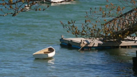 Rack focus from tree limb to floating dinghy attached to dock in summer Stock Footage 144438484