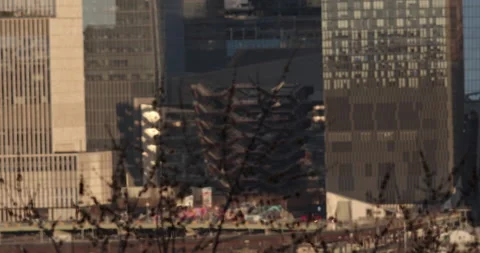 Rack focus from tree to Manhattan background 4K Stock Footage 171288466