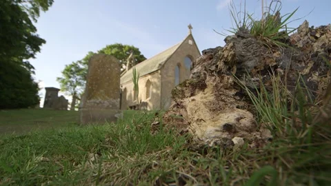 Rack focus from tree trunk to Romanesque church Vidéo 143735361