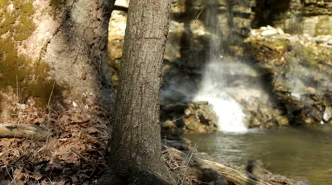 Rack focus from tree to waterfall Vidéo 5134707