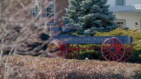 Rack Focus Tree to Wine Carriage Видео 107280176