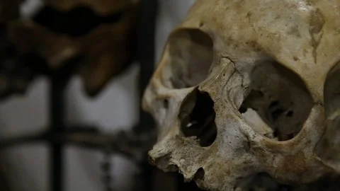 Rack focus voodoo skulls new orleans Stock Footage 107624339