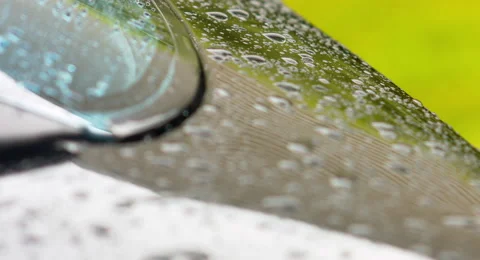 Rack Focus Water Beaded on Black Car 4K Vídeo Stock 40513782