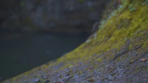 Rack Focus onto Water Droplets Stock Footage 91264189