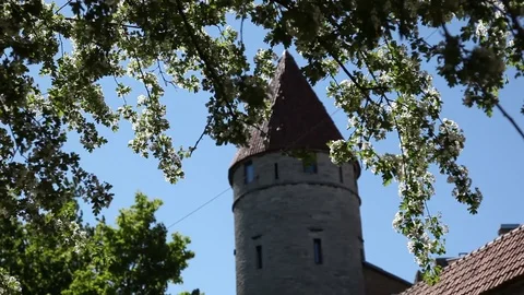 Rack focus from white flowers on tree to stone bulding with red roof Stock Footage 89662597