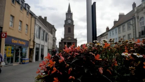 Rack Focus-Wind blowing flowers to Historic Berwick-Upon-Tweed Town Hall Stock Footage 96458800