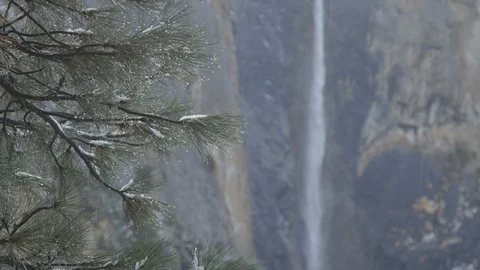 Rack Focus Yosemite Falls Pine Tree Snow and Rain Stock Footage 122400590
