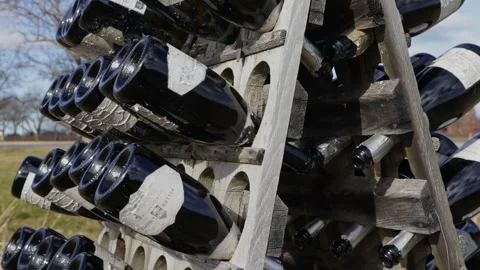 A Rack or Cellar of Bottles in the Vineyard (Peller Estate) Stock Footage 264932051