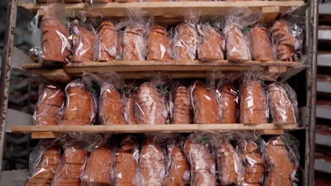 Rack with ready-packed fresh bread. Bread factory indoors Stock Footage 250264412