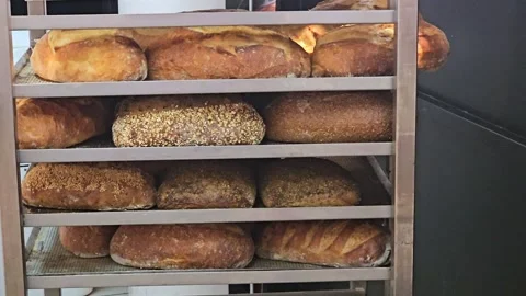 A rack shelf unit holds various loaves of freshly baked bread, Video stock 311885219