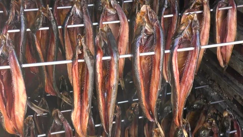 Rack of smoked Kippers Video stock 115703109