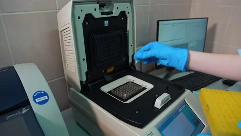 Rack with vials for sample collection. Process of testing examination by nurse  Stock Footage 160826119