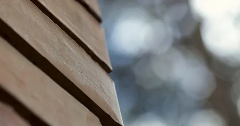 Racking focus changing from brown brick wall to tree trunk Video stock 109062339