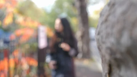 Racking Focus Tree to Female with Fall Leaves in Background at Little Venice Video stock 89700522