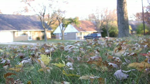 Racking leaves from front yard Stock Footage 279003