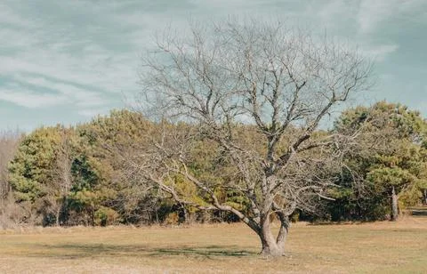 Rackliffe House-75 Stock Photos
