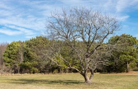 Rackliffe House- Stock Photos