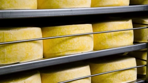 Racks filled with numerous round wheels of yellow cheese. 스톡 동영상 328227614