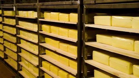 Racks filled with numerous round wheels of yellow cheese. Stock Footage 329870687