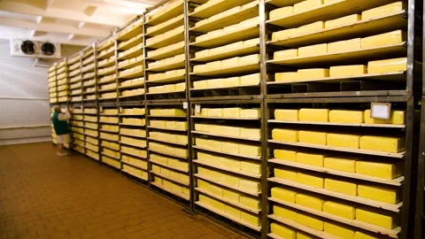 Racks filled with numerous round wheels of yellow cheese. Stockbeeldmateriaal 331206911