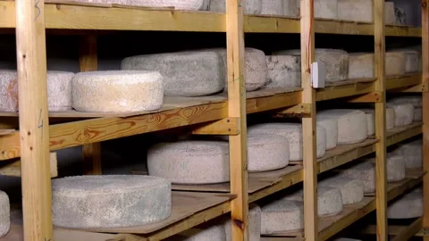 Racks with handmade cheese. Stock Footage 170957461