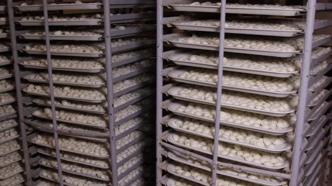 Racks with ready-made pelmeni with meat on trays, close-up, pelmeni workshop Stock Footage 75255199