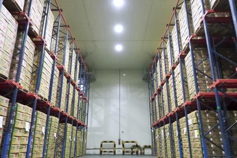 Racks in warehouse with boxes of pineapples. Stock-Fotos