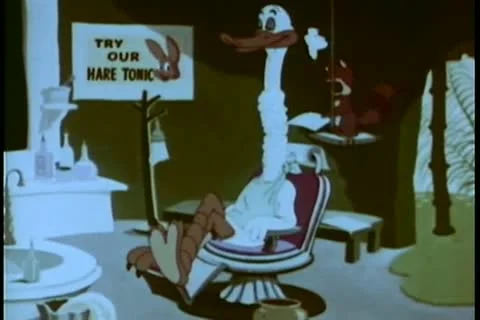 Racoon in make-shift barber shop shaving  duck''s neck Stock Footage 11345136