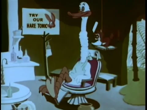 Racoon in make-shift barber shop shaving  duck''s neck Stock Footage 260246924