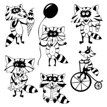 Racoon vector Stock Illustration
