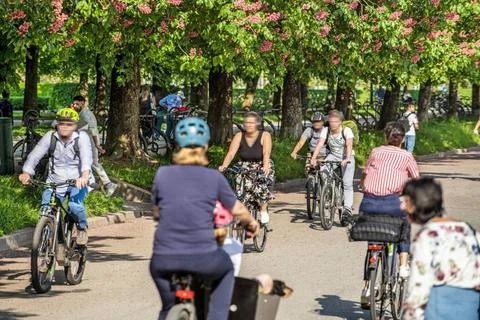 Radfahrer am Hofgarten, genießen das warme Frühlingswetter, vorbei an blüh Stock Photos