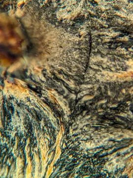 Radial crystal structures under polarized microscope with colorful edge Stock Photos