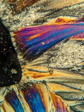 Radial crystal structures under polarized microscope with colorful edge Stock Photos