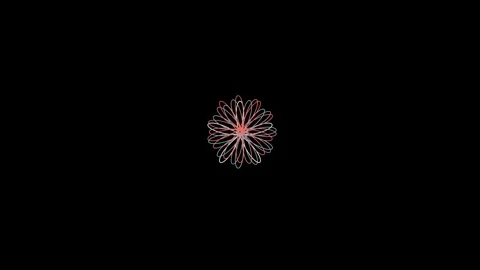 Radial Function Bloom 스톡 동영상 308386293