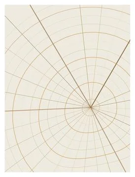 Radial grid pattern with intersecting lines and circles on a light background Stock Illustration