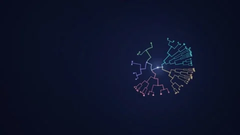 Radial Phylogenetic Tree of Life Growing From Root Animation Stock Footage 346828330