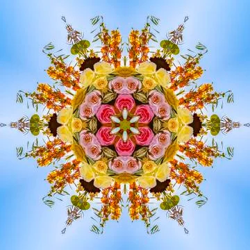 Radial reflection of flowers into a circle design Stock Photos