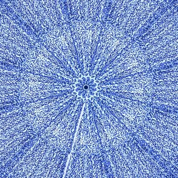 Radial Sacred Geometric Pattern Stock Illustration