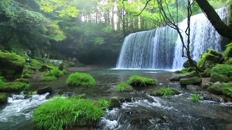 Radiance of Nabegataki Falls Video stock 332003143