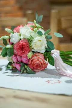 Radiant Blossoms of Spring Stock Photos