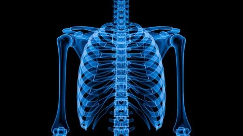 Radiant blue skeleton glows against deep black backdrop Stock Illustration