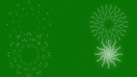 Radiant Circle Burst Firework Animation with Glowing Lines Green Screen 4K Loop 動画素材 337427025