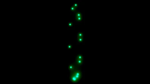 Radiant Circle Patterns Видео 291083792