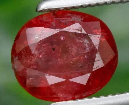 Radiant Red Oval Ruby Gemstone with Gleaming Facets Held in Metal Tweezers on 스톡 사진
