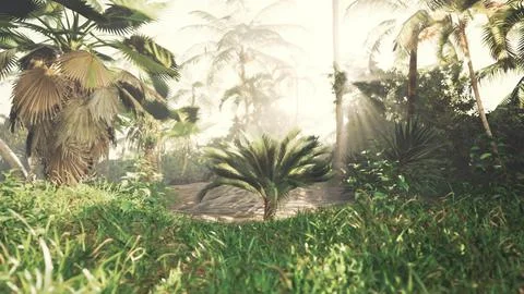 Radiant sunbeams piercing palm branches Stock Illustration