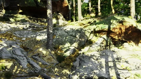 Radiant sunlit area featuring rocky terrain and sprawling silhouettes Stock Footage 339800124
