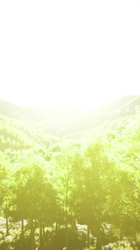 Radiant sunlit landscape complemented by soft mist and open atmosphere Vídeo Stock 326349778