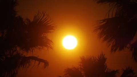 A radiant sunset over palm trees in Kos, casting warm hues across the sky i.. Stock Footage 292755073